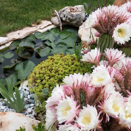 Bed & Breakfast Il Nido 4*